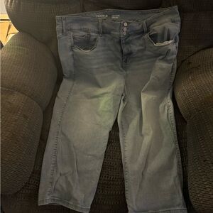Torrid jeggings size 24